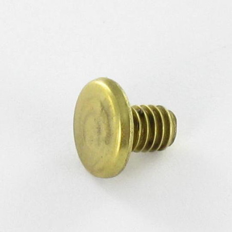 1 x LUIK Messing platte kop 4.3X6 TORX T9 EP1.5