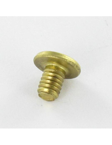1 x LUIK Messing platte kop 4.3X6 TORX T9 EP1.5
