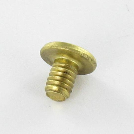 1 x LUIK Messing platte kop 4.3X6 TORX T9 EP1.5