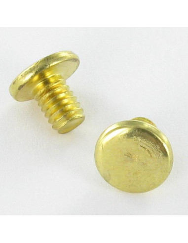 1 x LUIK Messing staal platte kop 4.3X6 TORX T9