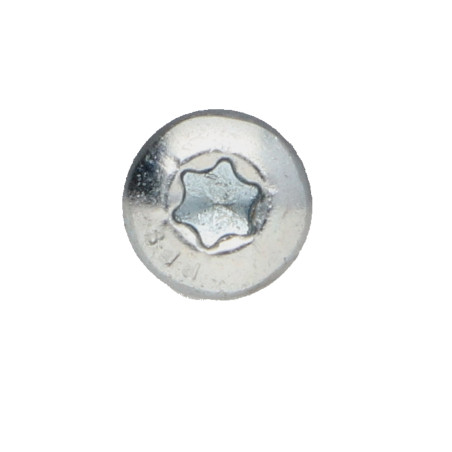 1 x TEKOR houtschroeven ronde kop TORX T30 6X50 volledige draad anti-splijtpunt type 17 cut Wit verzinkt staal