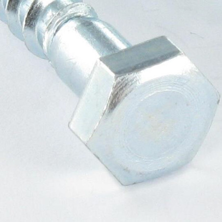 1 x Houtdraadbouten 10X200 hoge corrosiebestendigheid Thermisch verzinkt staal