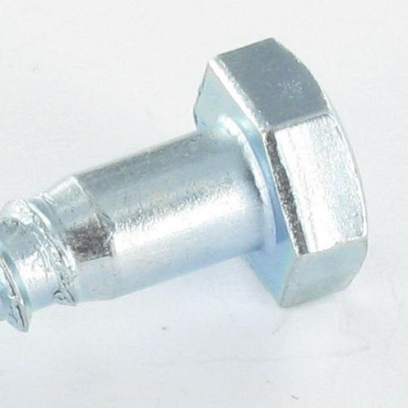 1 x Houtdraadbouten 10X200 hoge corrosiebestendigheid Thermisch verzinkt staal
