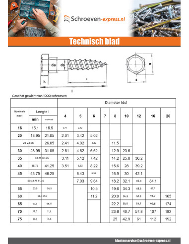 1 x Houtdraadbouten 10X110 Wit verzinkt staal