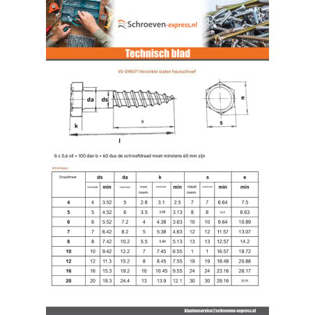 1 x Houtdraadbouten 8X110 Wit verzinkt staal