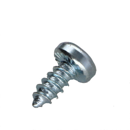 1 x Metaalplaatschroef cilindrische kop TORX T25 4,8X13 Wit verzinkt staal