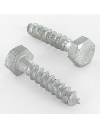 1 x Houtdraadbouten 10X80 hoge...