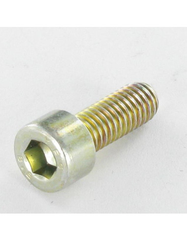 1 x Metalen schroeven CHC BTR M4X25 volledige...