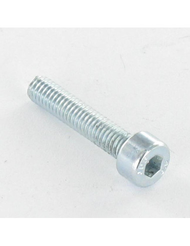 1 x Metalen schroeven CHC BTR M8X25 volledige...