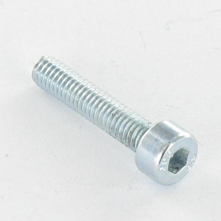 1 x Metalen schroeven CHC BTR M8X35 Klasse 8.8 sleutel van 6 Wit verzinkt staal