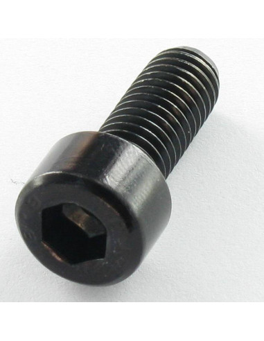 1 x Metalen schroeven CHC BTR M5X10 volledige...