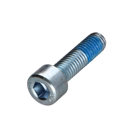 1 x Metalen schroeven CHC BTR M8X30 Klasse 8.8 sleutel van 6 Wit verzinkt staal Remdraad