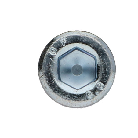 1 x Metalen schroeven CHC BTR M8X30 Klasse 8.8 sleutel van 6 Wit verzinkt staal Remdraad