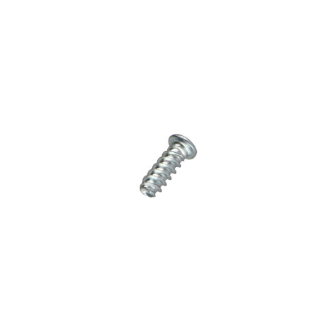 1 x Zelftappende schroef voor plastic cilindrische kop Phillips 0 2X5 Wit verzinkt staal microschroeven