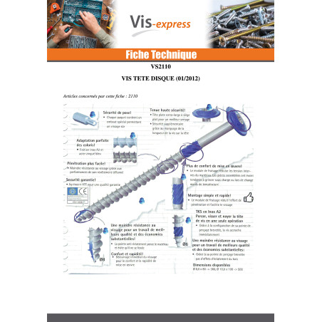 1 x Agglo houtschroeven schijfkop TORX T40 10X180 Wit verzinkt staal
