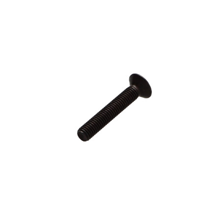 1 x Metalen schroeven FHC verzonken kop met zeskant print sleutel van 4 M6X45 volledige draad klasse 10.9 Ruw staal