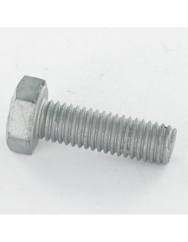 1 x Metalen schroeven zeskantkop TH M12X70...