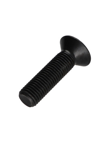1 x Metalen schroeven FHC verzonken kop met...