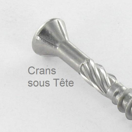 1 x Vlonderschroeven TEKOR gefreesde bolkop TORX T25 5X60 anti-splijtpunt type 17 cut RVS C2