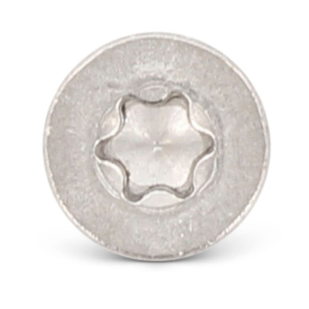1 x Zelfborende schroef gefreesde kop 4.2X22 TORX T20 RVS AISI 410