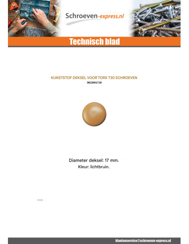 1 x Schroefkopafdekking TORX T30 kopdiameter 17...