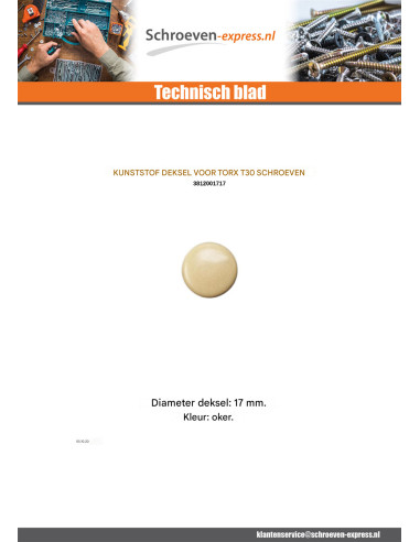 1 x Schroefkopafdekking TORX T30 kopdiameter 17...
