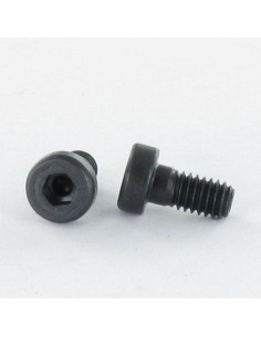 Metalen schroeven CHC BTR LAAG/GAT sleutel van 5 M6X8...