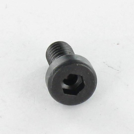 1 x Metalen schroeven CHC BTR LAAG/GAT sleutel van 5 M6X8 Klasse 8.8 Ruw staal