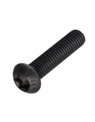 1 x Metalen schroeven bolkop TORX T25 M5X35...