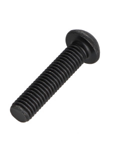 Metalen schroeven bolkop TORX T25 M5X35 klasse 10.9 Staal 2