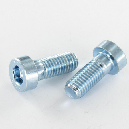 1 x Metalen schroeven CHC BTR BODEM/GAT sleutel van 10 M12X50 bedraad op 30 Klasse 8.8 Wit verzinkt staal