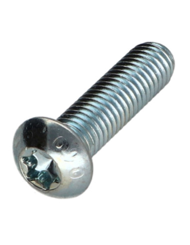 1 x Metalen schroeven bolkop TORX T25 M5X30...
