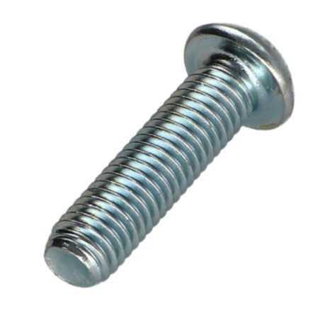 1 x Metalen schroeven bolkop TORX T25 M5X30 klasse 10.9 Wit verzinkt staal