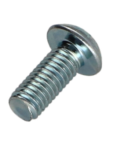 1 x Metalen schroeven bolkop TORX T25 M5X10...