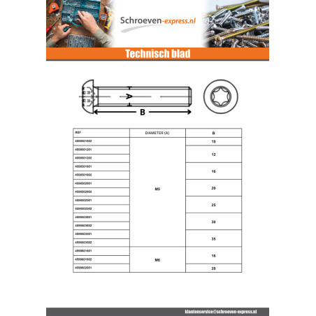 1 x Metalen schroeven bolkop TORX T25 M5X10 klasse 10.9 Wit verzinkt staal