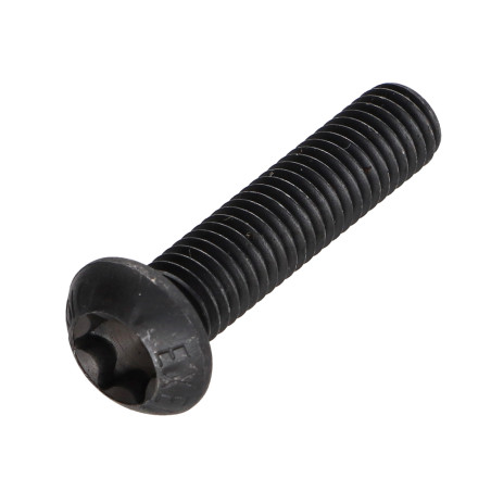1 x Metalen schroeven bolkop TORX T40 M8X30 klasse 10.9 Staal