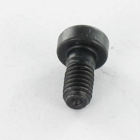1 x Metalen schroeven CHC BTR LAAG/GAT sleutel van 6 M8X25 Klasse 8.8 Ruw staal