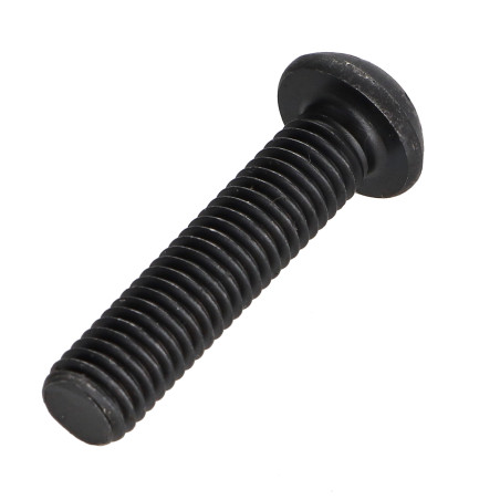 1 x Metalen schroeven bolkop TORX T25 M5X30 klasse 10.9 Staal