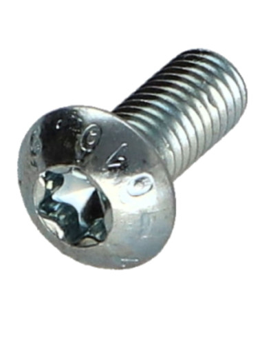 1 x Metalen schroeven bolkop TORX T25 M5X20...
