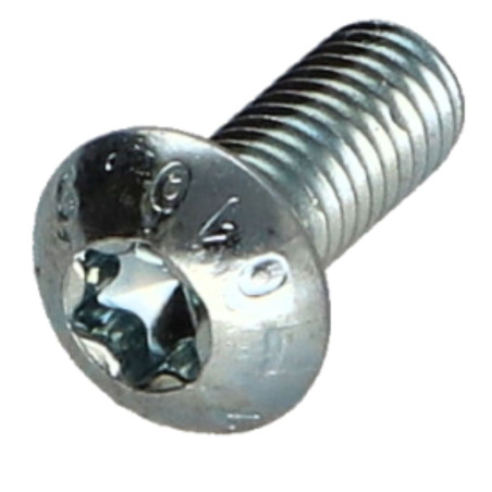 1 x Metalen schroeven bolkop TORX T25 M5X20 klasse 10.9 Wit verzinkt staal