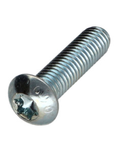 Metalen schroeven bolkop TORX T25 M5X35 klasse 10.9 Wit...