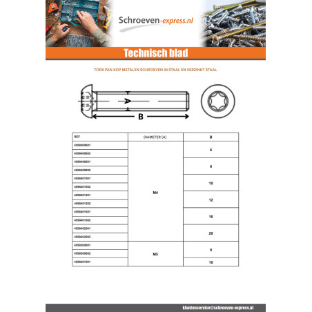 1 x Metalen schroeven bolkop TORX T25 M5X35 klasse 10.9 Wit verzinkt staal