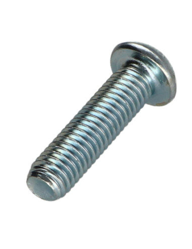 1 x Metalen schroeven bolkop TORX T40 M8X30...