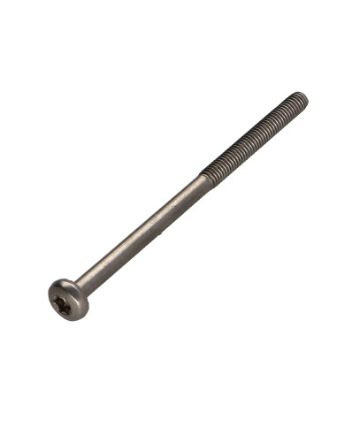 1 x Metalen schroeven bol cilinderkop TORX T20...