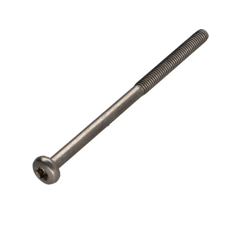 1 x Metalen schroeven bol cilinderkop TORX T20 4X78 bedraad op 30 RVS A2