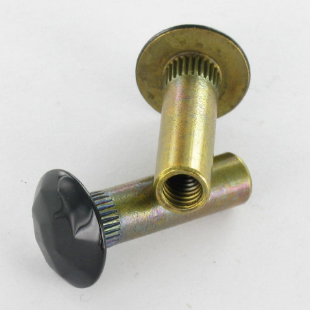 1 x Moer Hulsmoer GEHAMERD 8X28 blindtappend M6 Messing RAL9005 donker zwart