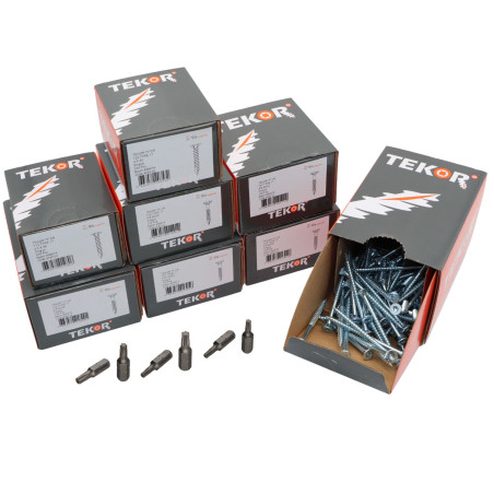 1 x TEKOR PAK PRO 1200 Schroeven gefreesde kop kartel TORX Wit verzinkt staal