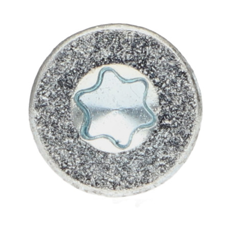 1 x Frameschroef TEKOR gefreesde kop kartel TORX T40 10X100 bedraad op 60 anti-splijtpunt type 17 cut Wit verzinkt staal