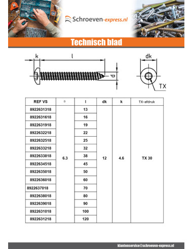 1 x Metaalplaatschroef bol cilinderkop 6.3X22...
