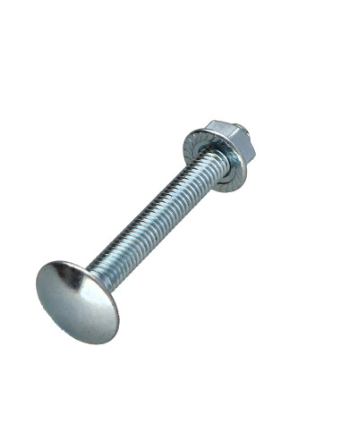 1 x Doos met 50 T.CAR 6X50 + 50 Moer kartel Wit...